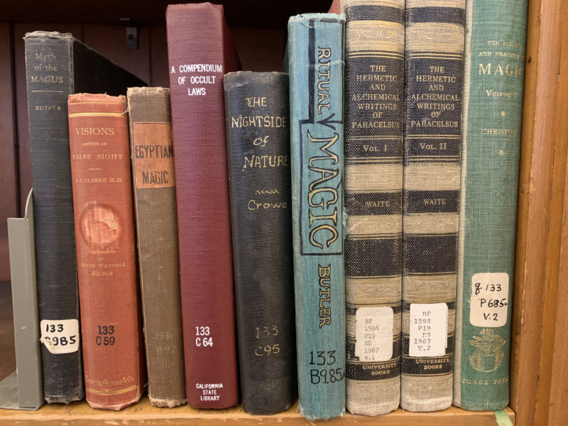 Color photo of library books on a shelf.