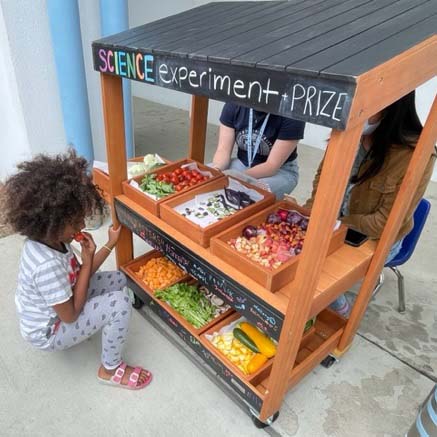 Child eating a cherry tomato while squatting down in front of a small vegetable stand that reads Science Experiment Prize at the top, while teens sit on the other side of the stand.