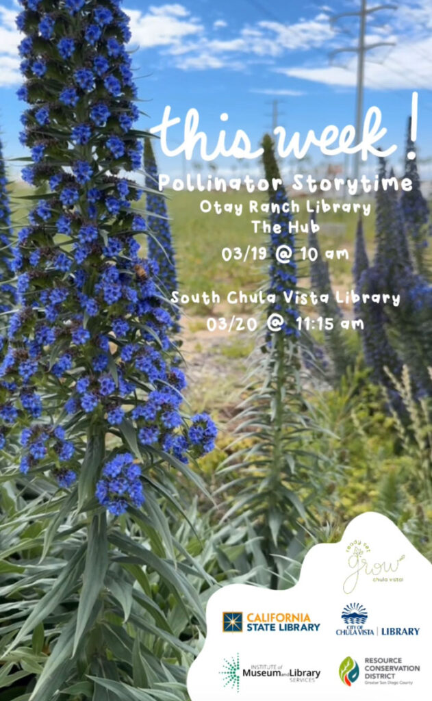 Photo of purple flower with bee. Flier reads: This Week! Pollinator Storytime, Otay Ranch Library, The Hub, 03/19 @ 10 am, South Chula Vista Library, 3/20 @ 11:15 am. Logos for: Ready Set Grow Chula Vista, California State Library, City of Chula Vista Library, Institute of Museum and Library Services, and Resource Conservation District Greater San Diego. 