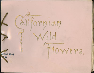 Cover of pressing album showing handwritten title.