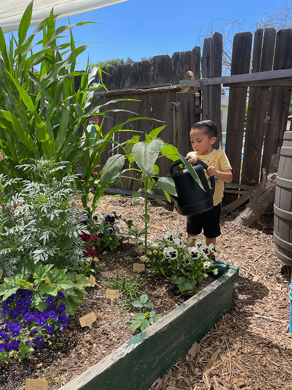 Photo of a child watering a garden with a green gardening can.