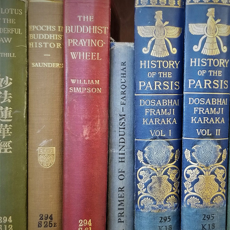 Close-up photo of a row of books.