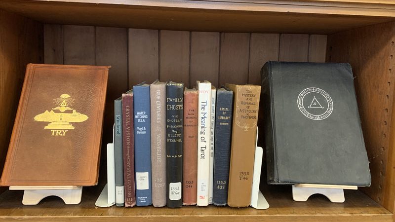 Color photo of library books displayed on a shelf.